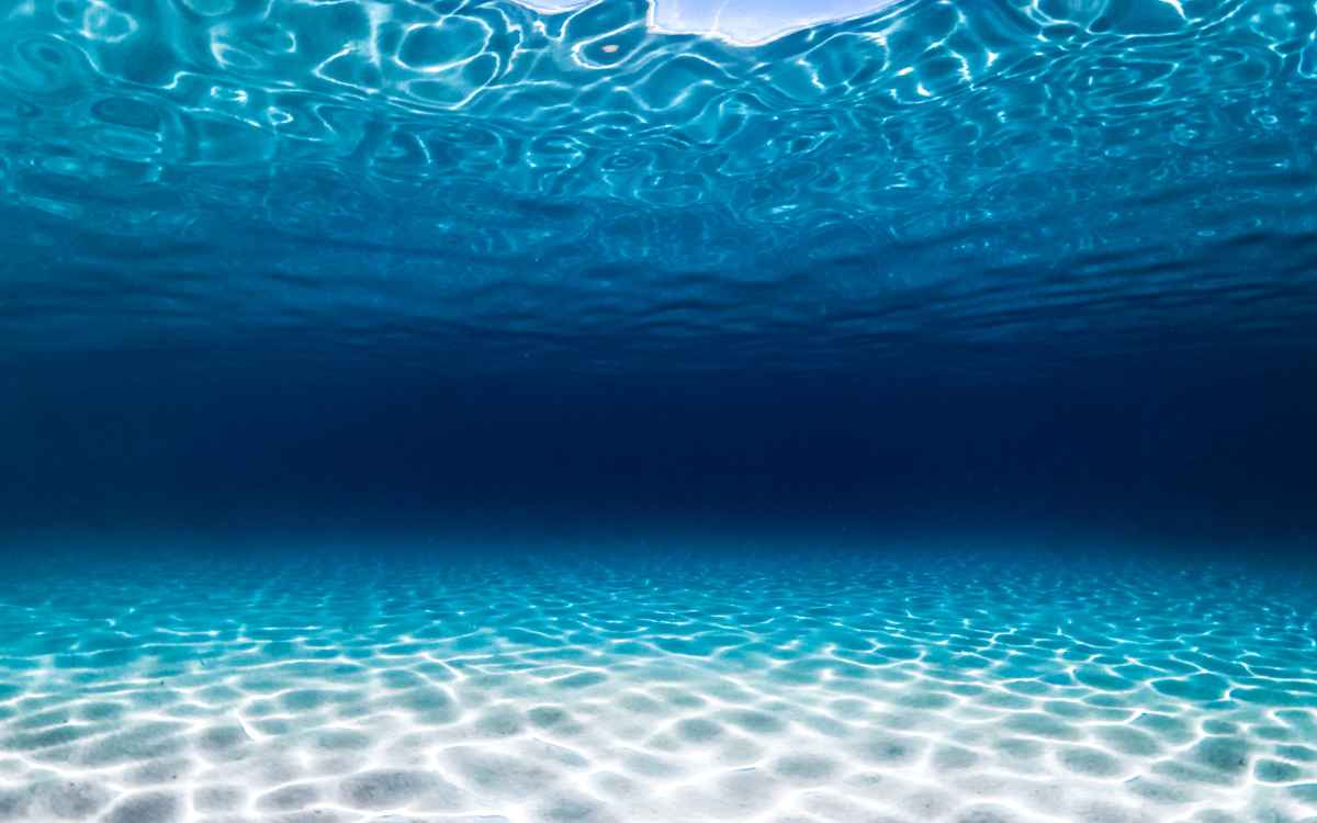 the seabed in Fuerteventura